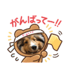 シェリぽんと愉快な仲間たち4(シェリー編)（個別スタンプ：25）