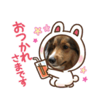 シェリぽんと愉快な仲間たち4(シェリー編)（個別スタンプ：29）