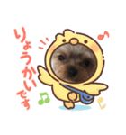 可愛い❤️ワンちゃん21（個別スタンプ：8）