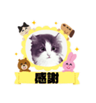 アランくん③（個別スタンプ：11）