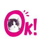 アランくん③（個別スタンプ：13）