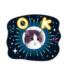 アランくん③（個別スタンプ：14）