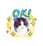 アランくん③（個別スタンプ：15）