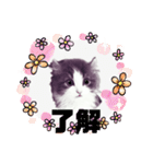 アランくん③（個別スタンプ：19）