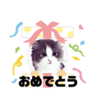 アランくん③（個別スタンプ：32）