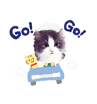 アランくん③（個別スタンプ：33）