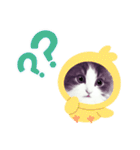 アランくん③（個別スタンプ：37）