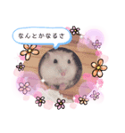 イエローラインジャンガリアン メル（個別スタンプ：8）