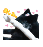 愛犬ももの日常2（個別スタンプ：5）