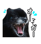 愛犬ももの日常2（個別スタンプ：10）