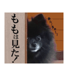 愛犬ももの日常2（個別スタンプ：18）