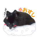 愛犬ももの日常2（個別スタンプ：23）