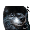 愛犬ももの日常2（個別スタンプ：25）