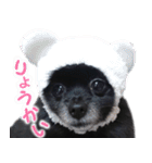 愛犬ももの日常2（個別スタンプ：32）