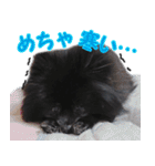 愛犬ももの日常2（個別スタンプ：35）