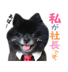 愛犬ももの日常2（個別スタンプ：39）