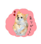 ももちゃんのハッピーライフ（個別スタンプ：3）