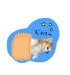 ももちゃんのハッピーライフ（個別スタンプ：7）