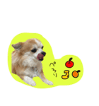 ももちゃんのハッピーライフ（個別スタンプ：8）