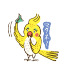 オカメのQちゃんスタンプ☆（個別スタンプ：8）