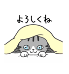 いやしの日常 猫(サバトラ)編（個別スタンプ：14）