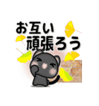 毎日黒ねこ ～ 秋～（個別スタンプ：19）