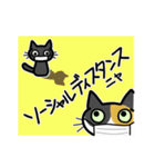 かわいいくつしたねことみけねこスタンプ（個別スタンプ：12）