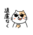 猫さん豆太郎（個別スタンプ：5）