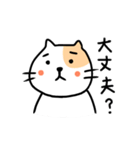 猫さん豆太郎（個別スタンプ：16）