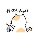 猫さん豆太郎（個別スタンプ：19）