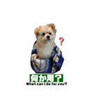 我が家のハーフ犬ポメチ❼（個別スタンプ：17）