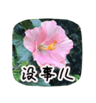 Expressions of spirit photos中国語簡体字（個別スタンプ：10）