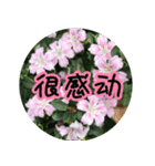 Expressions of spirit photos中国語簡体字（個別スタンプ：16）
