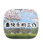 Expressions of spirit photos中国語簡体字（個別スタンプ：21）