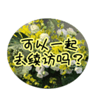 Expressions of spirit photos中国語簡体字（個別スタンプ：22）