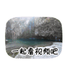 Expressions of spirit photos中国語簡体字（個別スタンプ：24）
