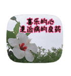 Expressions of spirit photos中国語簡体字（個別スタンプ：25）