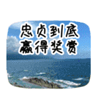 Expressions of spirit photos中国語簡体字（個別スタンプ：30）
