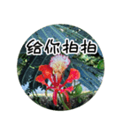 Expressions of spirit photos中国語簡体字（個別スタンプ：31）