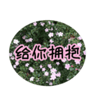 Expressions of spirit photos中国語簡体字（個別スタンプ：32）