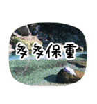Expressions of spirit photos中国語簡体字（個別スタンプ：34）