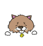 catcatcat11（個別スタンプ：17）