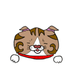 catcatcat11（個別スタンプ：24）