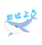 クジラ 日常（個別スタンプ：1）