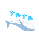 クジラ 日常（個別スタンプ：5）
