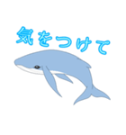 クジラ 日常（個別スタンプ：13）