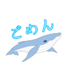 クジラ 日常（個別スタンプ：20）