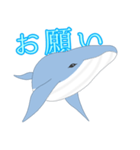 クジラ 日常（個別スタンプ：24）