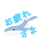 クジラ 日常（個別スタンプ：28）