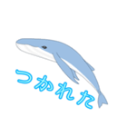 クジラ 日常（個別スタンプ：29）